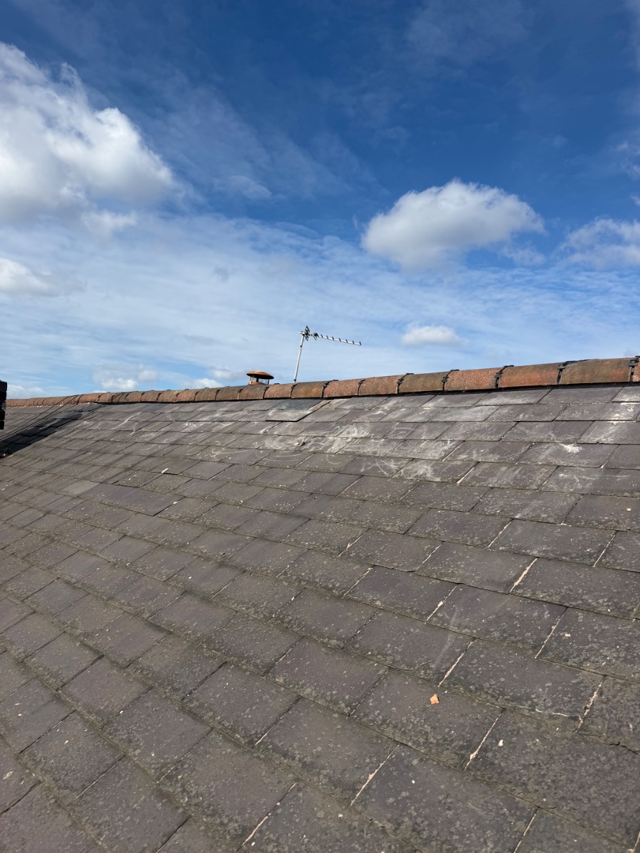 Roofer: Image 1
